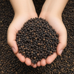 Black pepper