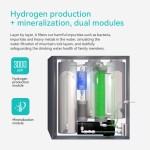 Aihuapu Snow Mountain Mineral Water Machine AHP-RO-B03