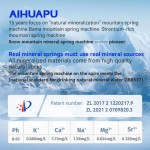 AIHUAPU 1000G Snow Mountain Mineral Water RO Reverse Osmosis Water Purifier