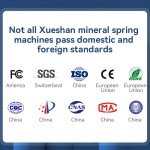 AIHUAPU 1000G Snow Mountain Mineral Water RO Reverse Osmosis Water Purifier