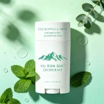 Mint deodorant stick